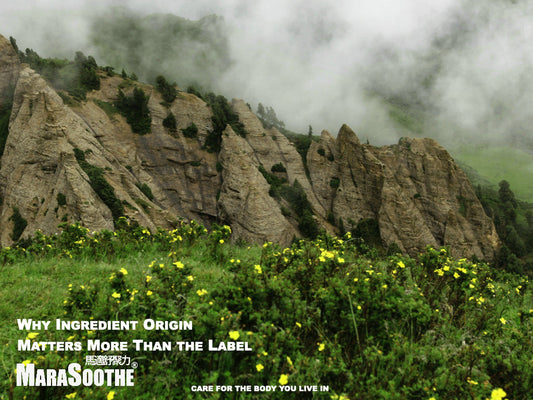 Why Ingredient Origin Matters More Than the Label